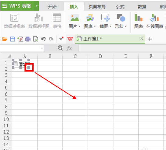 wps復(fù)選框怎么設(shè)置打勾？