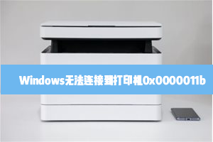 Windows無法連接到打印機0x0000011b怎么解決？