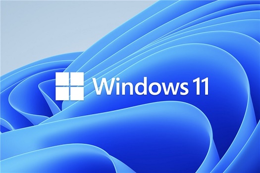 Win11外接顯示器沒反應(yīng)怎么辦?