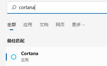 Win11語(yǔ)音助手怎么開啟？Win11語(yǔ)音助手開啟的方法