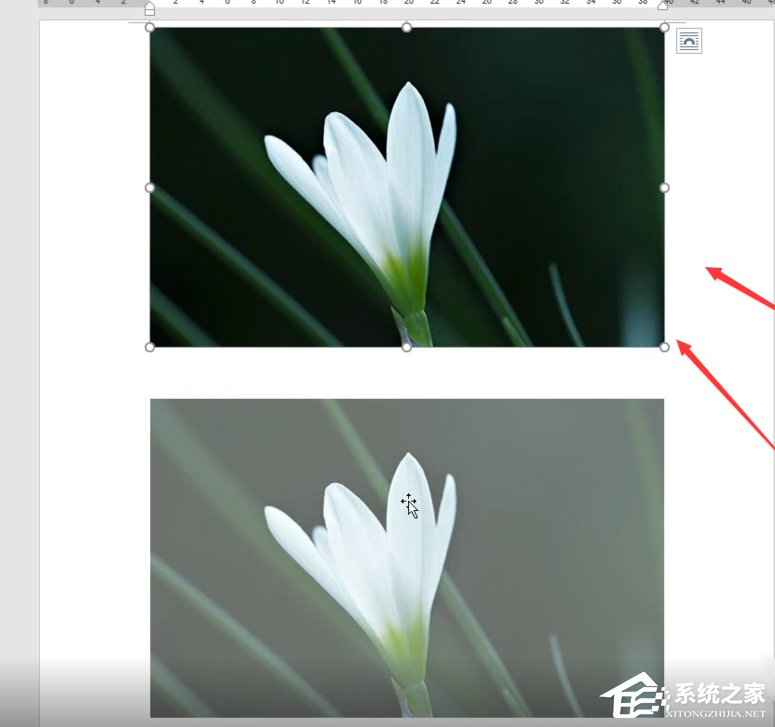 Word如何制作雙重曝光特效？制作雙重曝光特效的方法