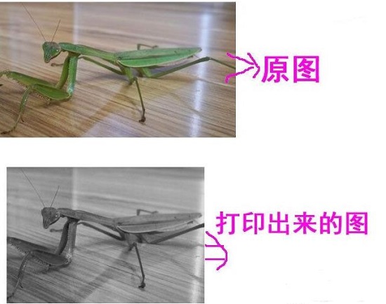 Win10打印圖片沒打印全怎么辦？