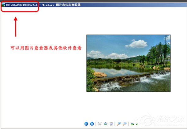 WinXP縮略圖不顯示文件名怎么辦？