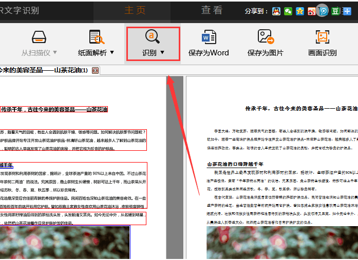 捷速OCR文字識別軟件怎么把PDF圖片轉(zhuǎn)為Word文字？PDF圖片轉(zhuǎn)為Word文字步驟一覽