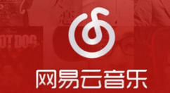 在網易云音樂里如何查看歌手資料？查看歌手資料的方法分享