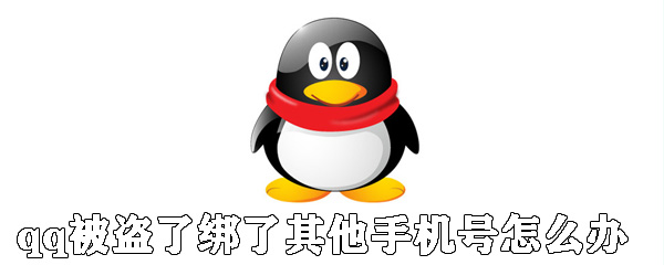 qq被盜了綁了其他手機號怎么辦？qq號被盜找回方法解析