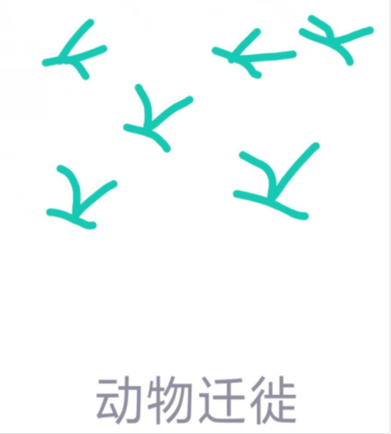 QQ紅包動物遷徙怎么畫？qq畫圖動物遷移快速畫法