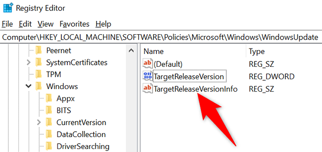 怎么阻止在Win10上安裝Windows11更新？