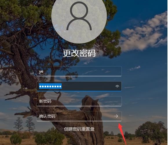 Win11不要密碼怎么設(shè)置?Win11取消密碼登錄的步驟教程
