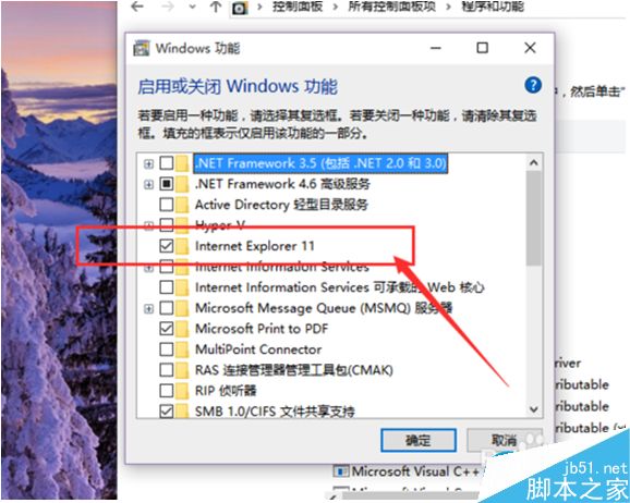 Win10系統(tǒng)怎么卸載IE瀏覽器？Win10系統(tǒng)卸載IE瀏覽器教程