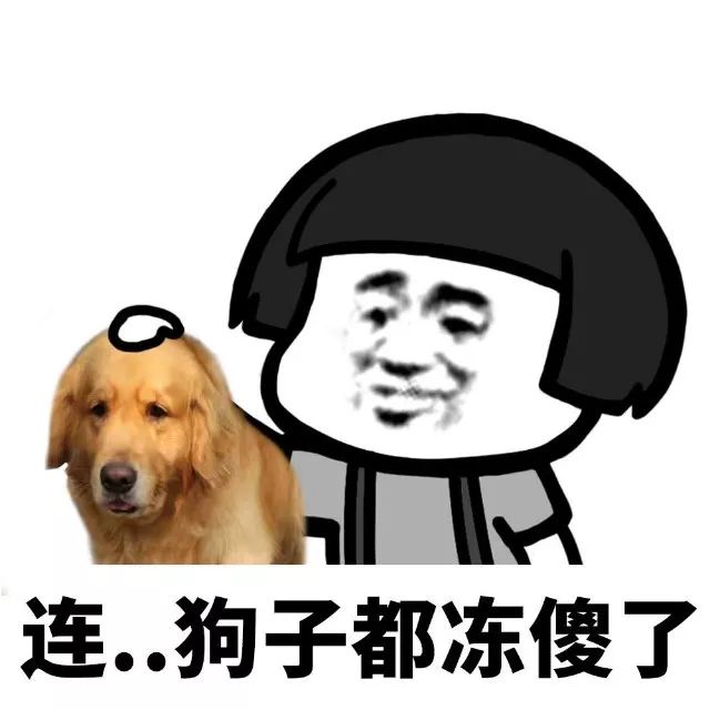抖音我家床塌了停水了停電了表情包是什么？抖音我家床塌了表情包介紹！