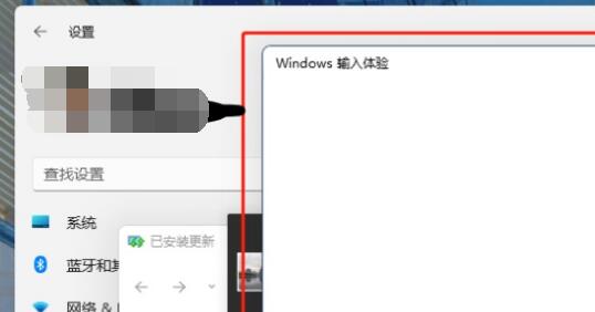 win11輸入體驗(yàn)關(guān)閉教程