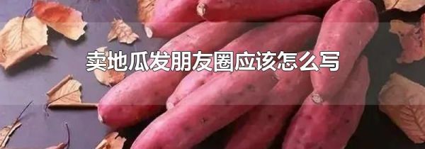賣(mài)地瓜發(fā)朋友圈應(yīng)該怎么寫(xiě)