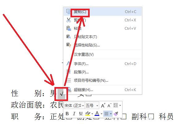wps中方框內(nèi)打勾的詳細(xì)操作流程