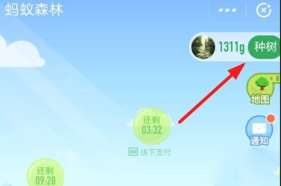 支付寶App認(rèn)領(lǐng)螞蟻森林保護(hù)地詳細(xì)操作流程