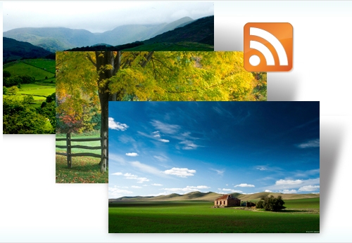 Windows7官方RSS動態(tài)主題