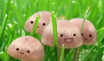 微信微粒貸怎么開通？小編教你玩轉微粒貸！