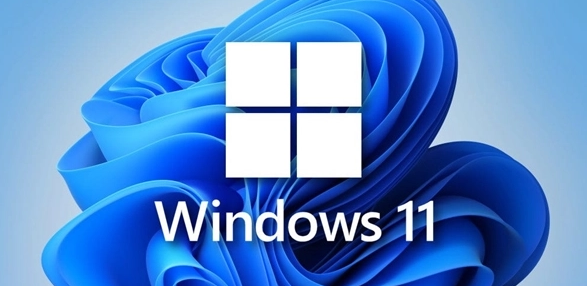 Windows11重設(shè)注冊(cè)表刷新項(xiàng)步驟介紹