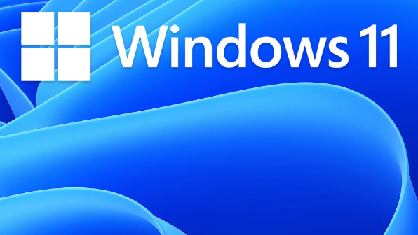 Windows11啟動程序net服務(wù)教程分享