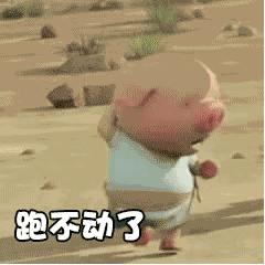 抖音小豬跑步動態(tài)表情包分享【高清無水印】