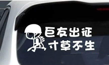 抖音春風吹楊柳下一句是什么？抖友暗號春風吹楊柳完整版介紹