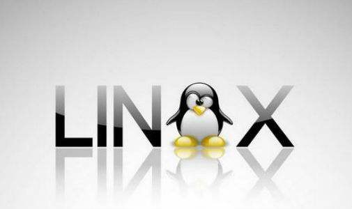 Linux是什么？它是哪個(gè)國家開發(fā)的