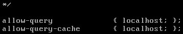 Linux(CentOS)如何安裝DNS服務(wù)器？