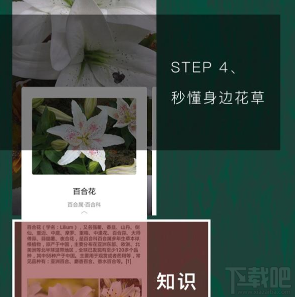 QQ瀏覽器識(shí)你所見(jiàn)是什么？QQ瀏覽器識(shí)你所見(jiàn)怎么玩？