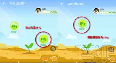 支付寶螞蟻森林能量值計(jì)算方法
