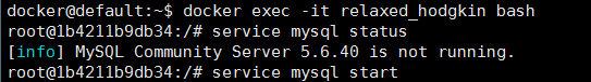 docker中使用mysql數(shù)據(jù)庫實現(xiàn)局域網(wǎng)訪問