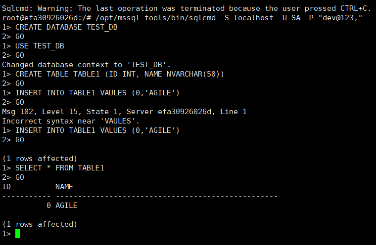 使用Docker運(yùn)行SQL Server的實現(xiàn)
