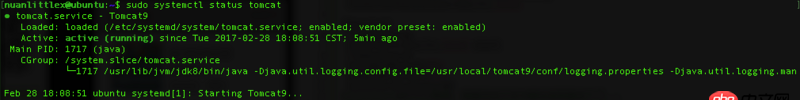 service - Ubuntu16 Tomcat9 設(shè)置開機(jī)自動(dòng)重啟時(shí)為什么起不來？
