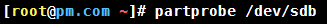 Linux使用fdisk實(shí)現(xiàn)磁盤(pán)分區(qū)過(guò)程圖解