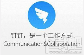 釘釘多人視頻會議好用嗎？