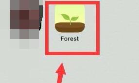 forest怎么一個(gè)人種樹(shù)