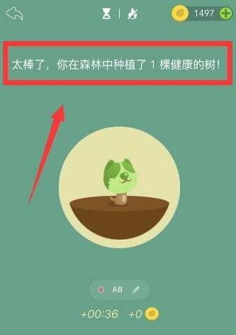 forest怎么一個(gè)人種樹(shù)