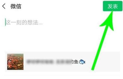 微信視頻號發(fā)微信朋友圈能看到嗎